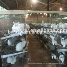 jaulas de conejos baratos / jaula de conejo con equipo de granja de bebedor automático